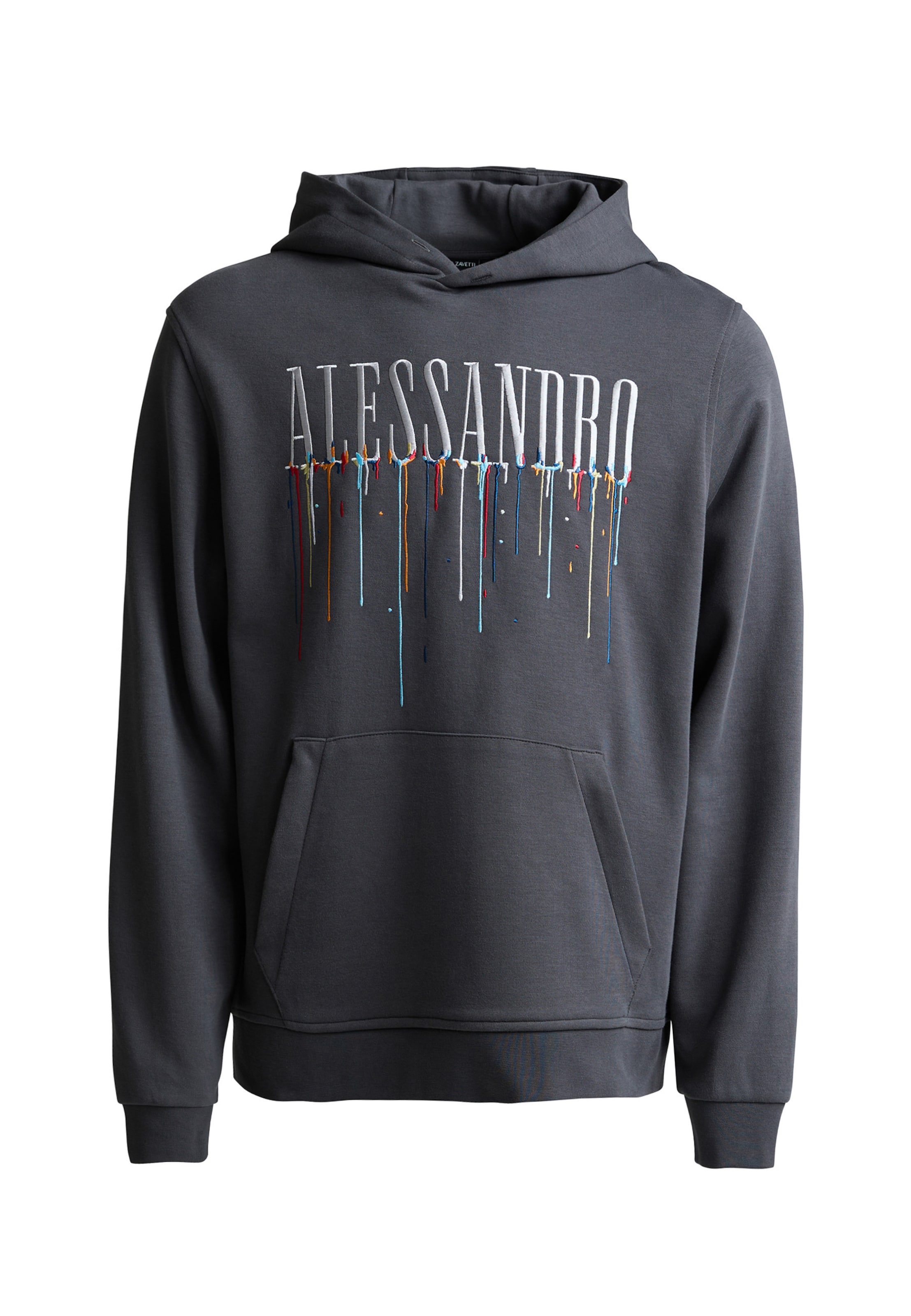 Alessandro Zavetti Sweatshirt 'Artista' in Grey: front