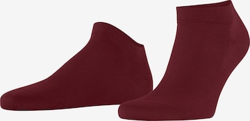 FALKE Socken 'Cool 24/7' in Rot: Vorderseite
