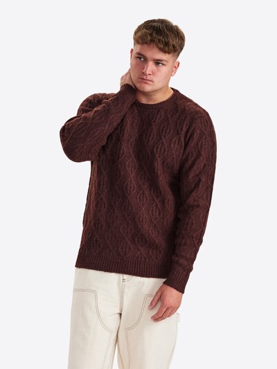 Dxnmxrk Sweater 'DXDiego' in Dark brown, Item view