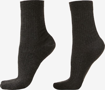 CALZEDONIA Socken in Grau: Vorderseite