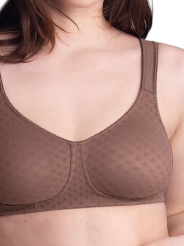 ANITA Minimiser Bra 'Lisa' in Brown