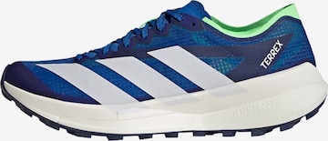 ADIDAS TERREX Running shoe 'Agravic Speed 2' in Blue: front