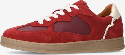 MANFIELD Sneaker in creme / weinrot / dunkelrot, Produktansicht