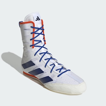 ADIDAS PERFORMANCE Sports shoe 'Box Hog 4' in White
