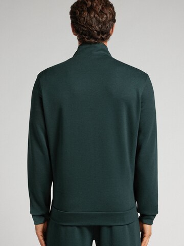 IUMAN Intimissimi Uomo Sweater in Green