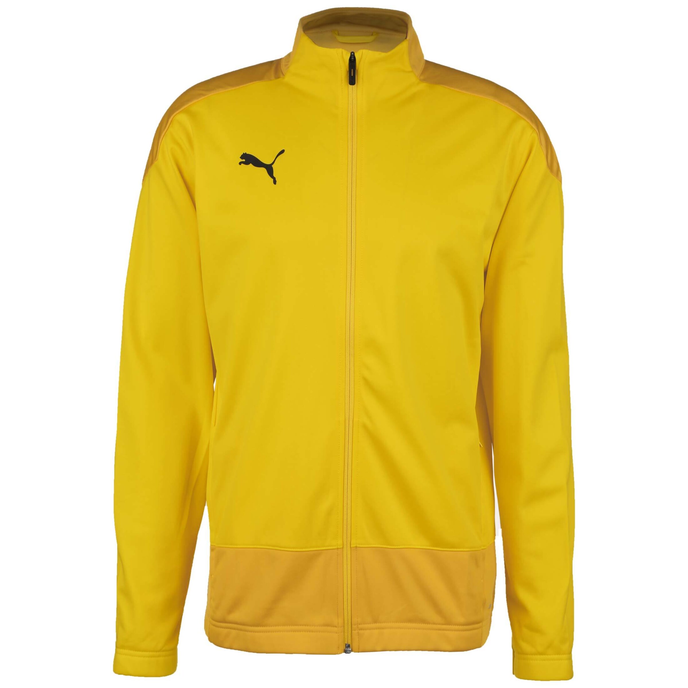 PUMA Training Jacket 'TeamGoal 23' in Yellow: front