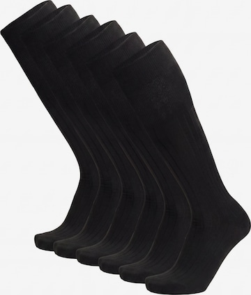 Ciocca Knee High Socks in Black: front