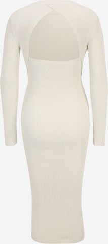 AllSaintsPletena haljina 'LOLEATTA' - bijela boja