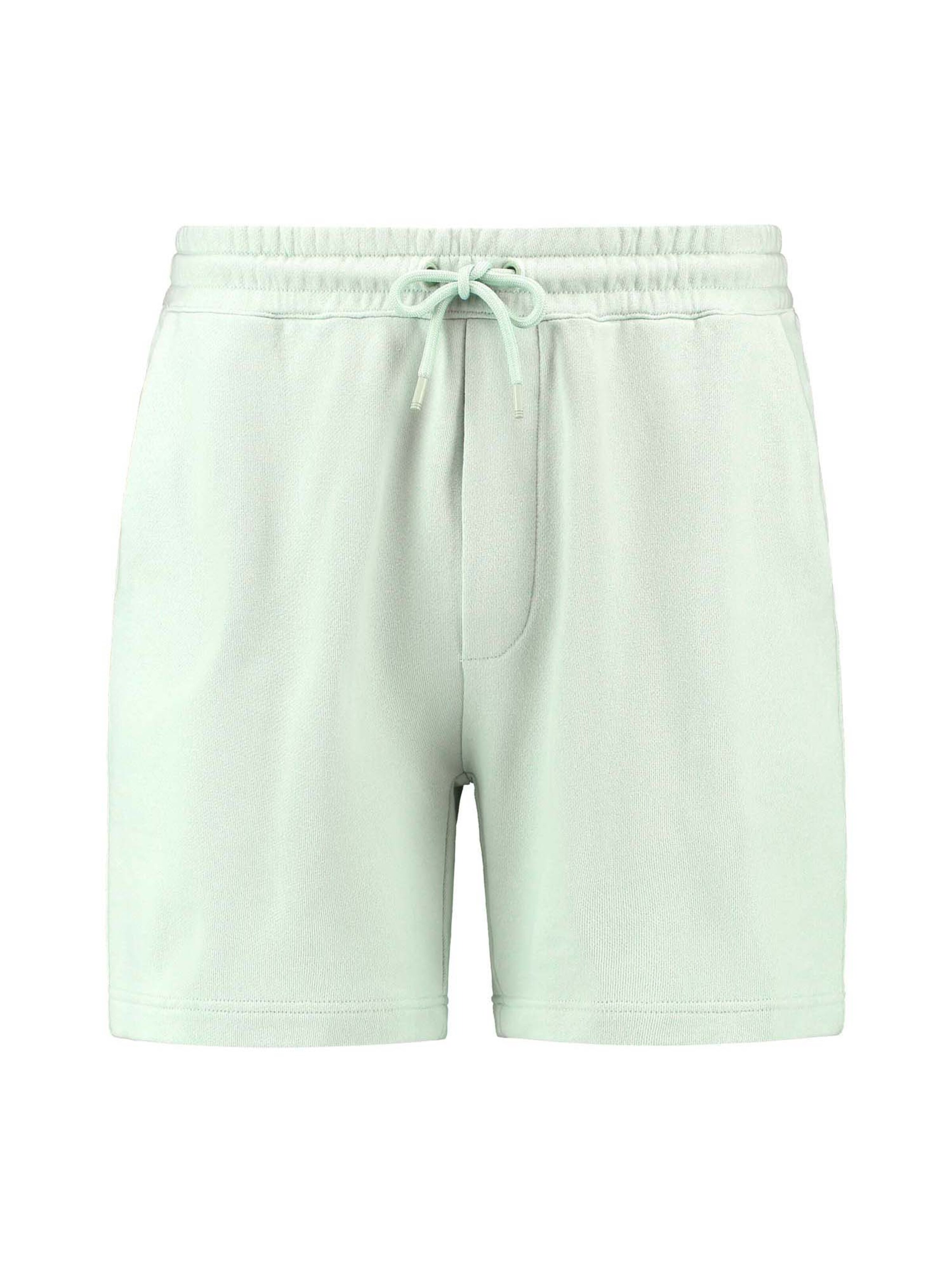 Shiwi Trousers 'Steve' in Green: front