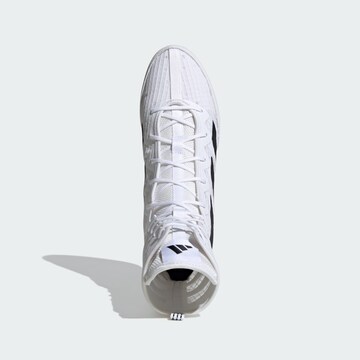Chaussure de sport ' Box Hog 4' ADIDAS PERFORMANCE en blanc