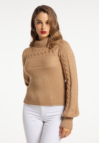 Pull-over faina en marron : devant