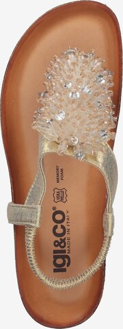 IGI&CO Teenslipper in Goud