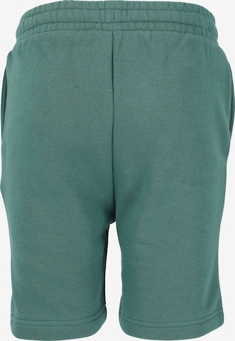 ENDURANCE Regular Workout Pants 'Glakrum' in Green