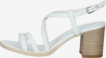 Nero Giardini Sandalen met riem in Wit