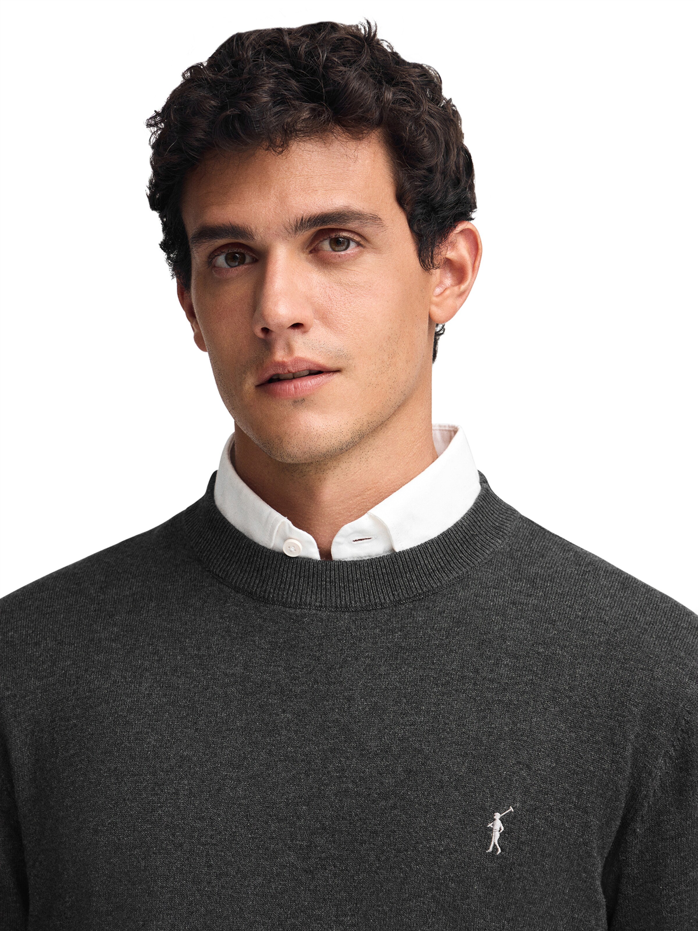Polo Club Pullover in Grau