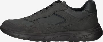 GEOX Sneaker in Grau