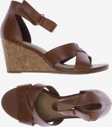 CLARKS Sandals & High-Heeled Sandals in 37 in Brown: front
