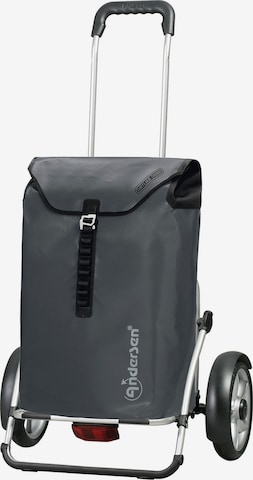 Valisette Andersen Shopper en gris : devant