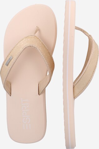 Flip-flops de la ESPRIT pe bej