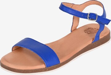 Apple of Eden Sandalen met riem 'Isa' in Blauw: voorkant