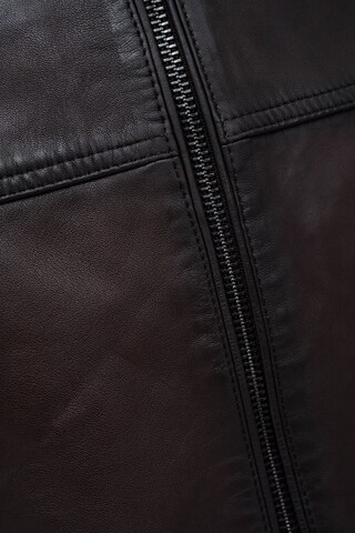 Salsa Jeans Tussenjas in Blauw