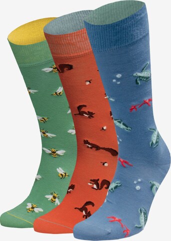 Von Jungfeld Socks in Mixed colors: front