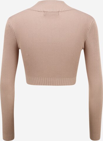 Missguided Petite Sweater in Beige