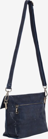 faina Shoulder Bag in Blue