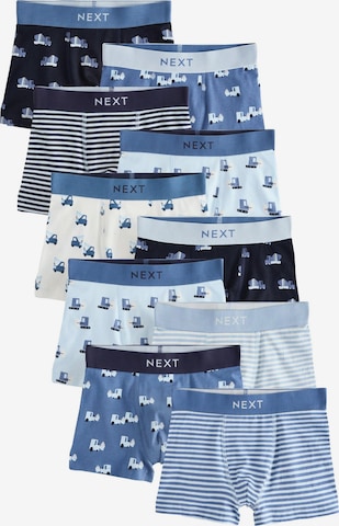 mėlyna Next Apatinės kelnaitės: priekis