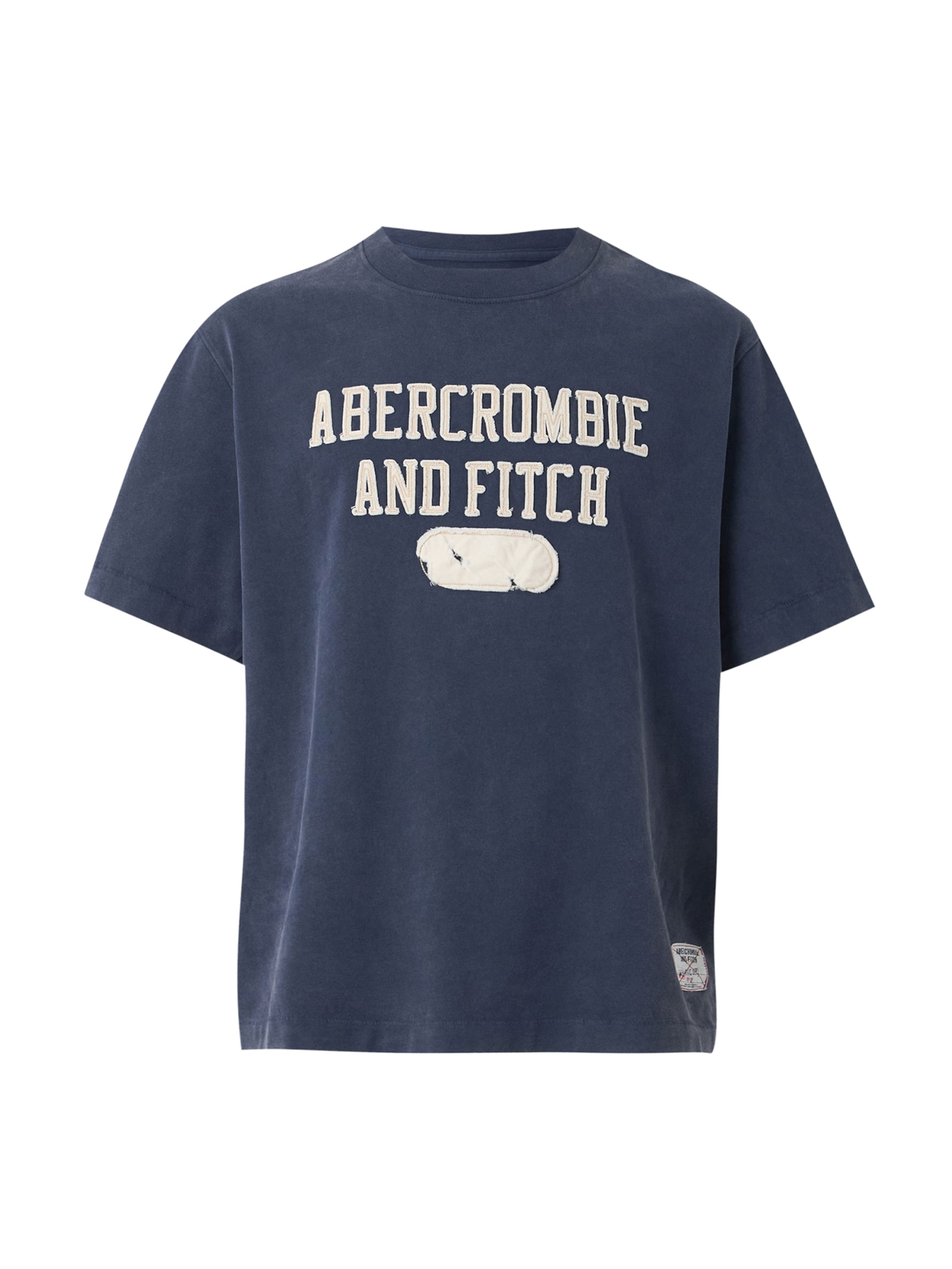 Abercrombie & Fitch Shirt in Blue: front