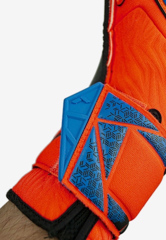 REUSCH Torwarthandschuhe 'Attrakt Fusion Guardian' in Blau