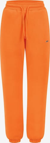 Smilodox Pants in Orange: front