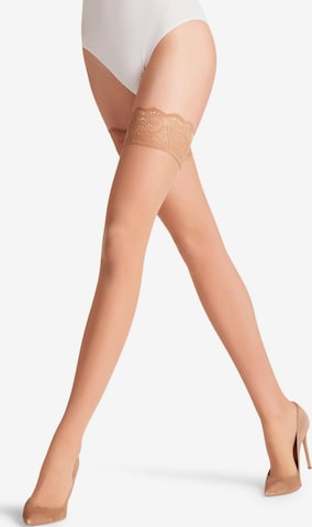 FALKE Feinstrümpfe 'Matt Deluxe' in Pink: Vorderseite