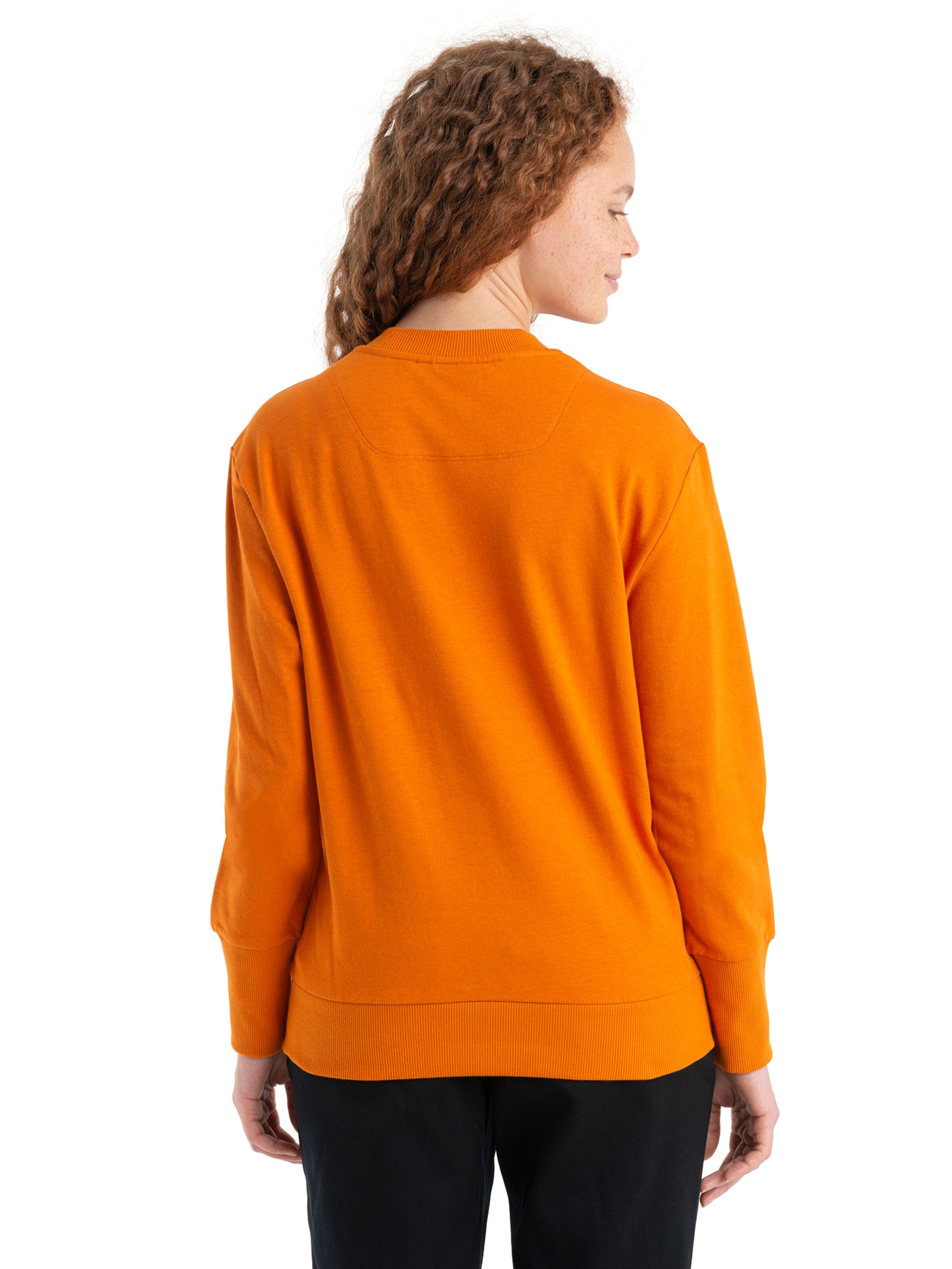 ICEBREAKER Sweatshirt 'Central II' in Orange