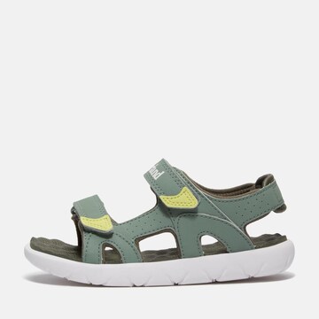 TIMBERLAND Sandals & Slippers in Green