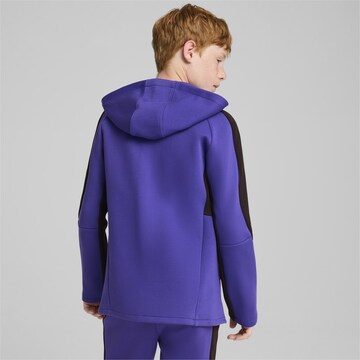 PUMA Athletic Zip-Up Hoodie 'Evostripe' in Blue