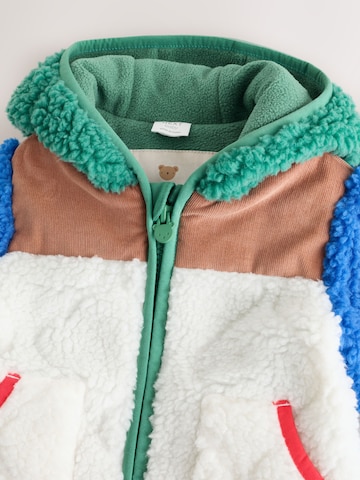 Giacca di mezza stagione di Next in colori misti