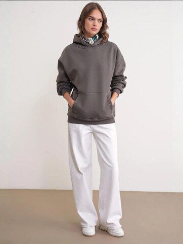 MixRay Sweatshirt 'Kapuzenpullover'‌‌‌‌‌‌‌ in Grau