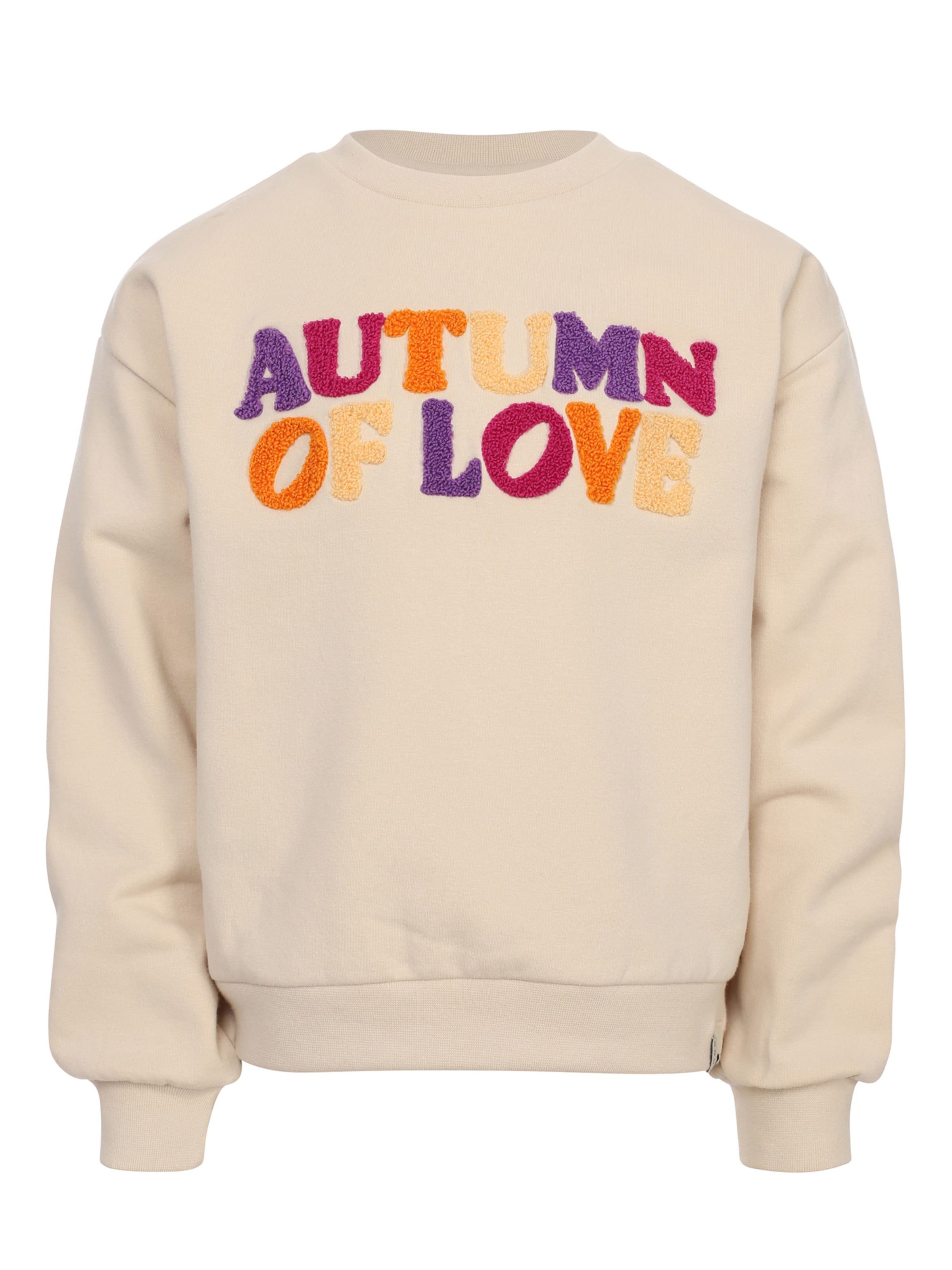 Looxs Revolution Sweatshirt in Wit: voorkant