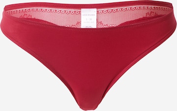 SCHIESSER Thong in Red: front