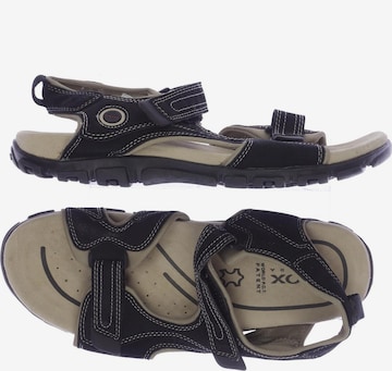 GEOX Sandals & Slippers in 46 in Black: front