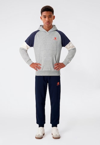 Champion Sweatshirt in Grey
