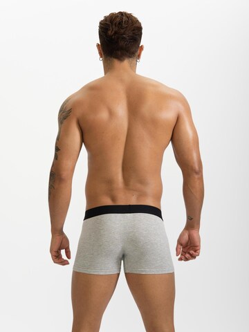 BIMONI Boxer shorts in Grey