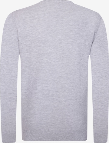 DENIM CULTURE Sweater 'PIETRO' in Grey