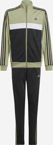 ADIDAS PERFORMANCE Tracksuit 'Tiberio ' in Green: front