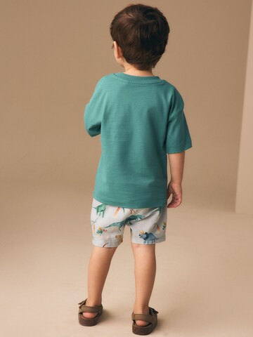 Next Regular Shorts in Blau