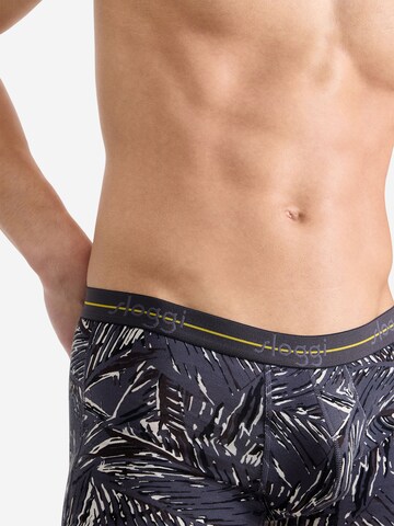 SLOGGI Langer Boxer ' Blue Start ' in Grau