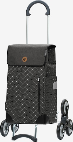 Andersen Shopper Trolley 'Sofia' in Grey: front