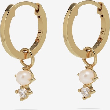ESPRIT Ohrringe in Gold: Vorderseite