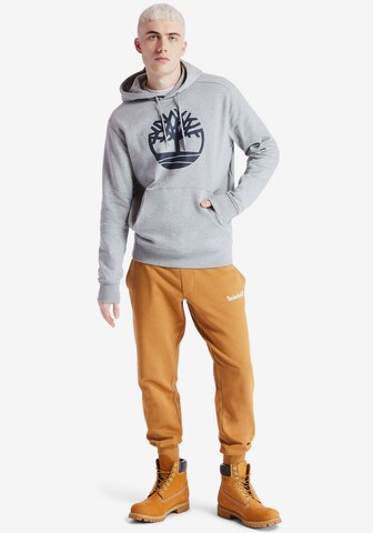 Sweat-shirt TIMBERLAND en gris